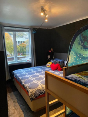 Bergen peaceful loft
